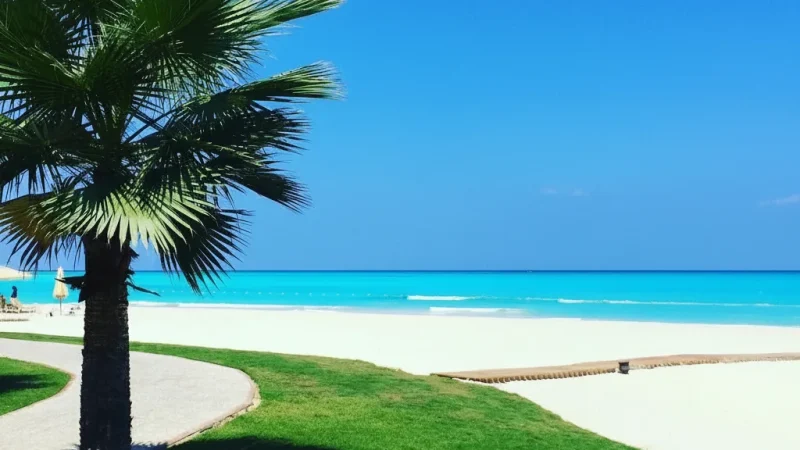 Calm Swimming Areas – Safe beach zones(3)