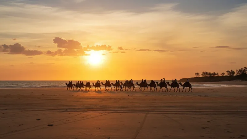 Camel Beach Rides – Sunset camel experience(4)