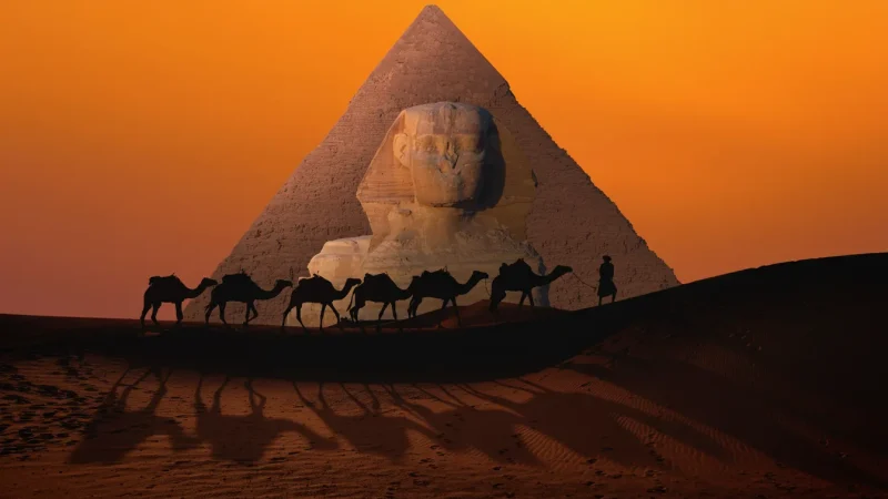 Camel Riding Area – Desert Experience (Giza Camel Riding Area)(5)