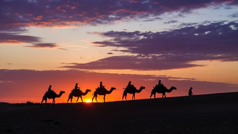 Camel Riding Routes(6)