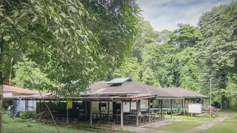 Camp 5(6)