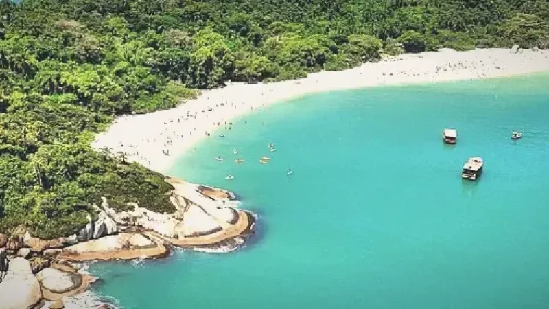 Campeche Island – Clear Water Island Trip(4)