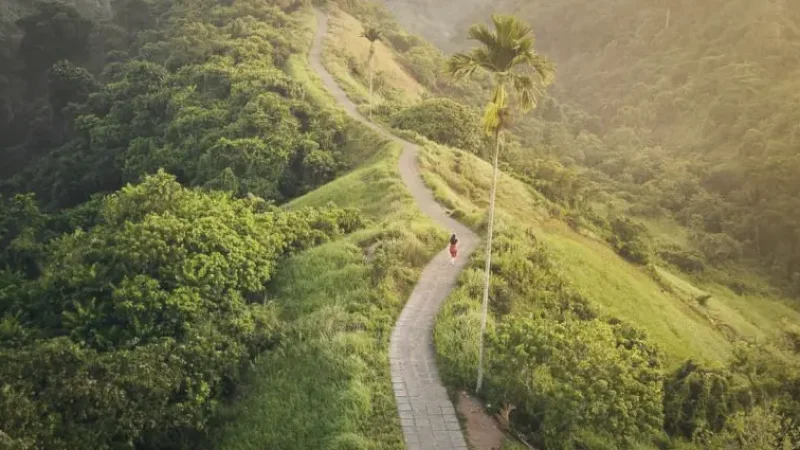 Campuhan Ridge Walk(6)