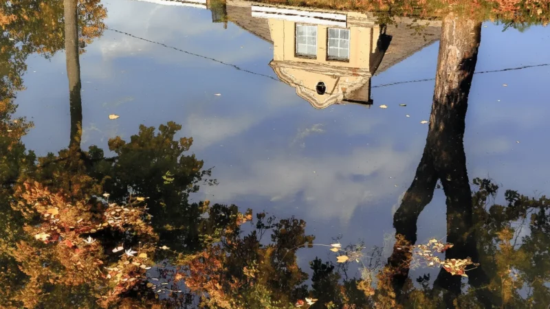 Canal Walks(2)