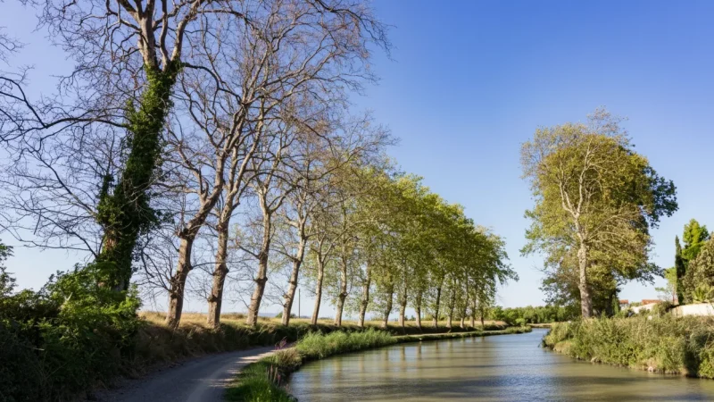Canal du Midi (Haute-Garonne section)(3)