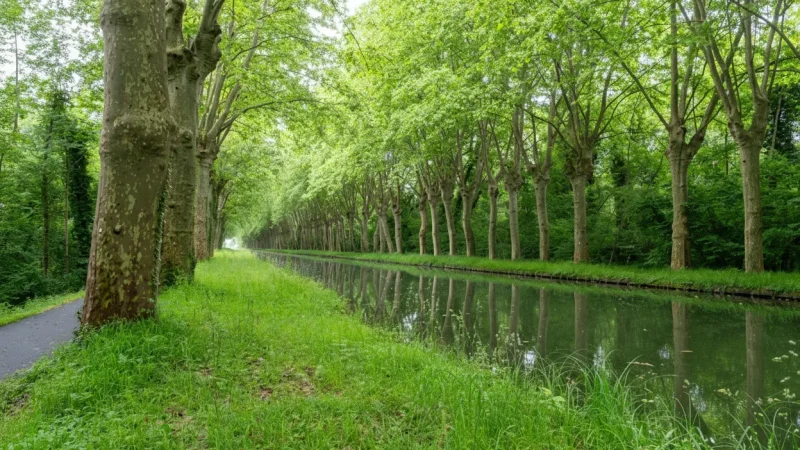 Canal du Midi – UNESCO-Listed Canal(6)