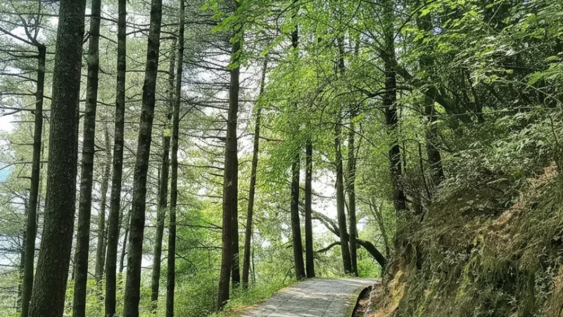 Cangshan Mountain – Hiking trails and viewpoints(5)