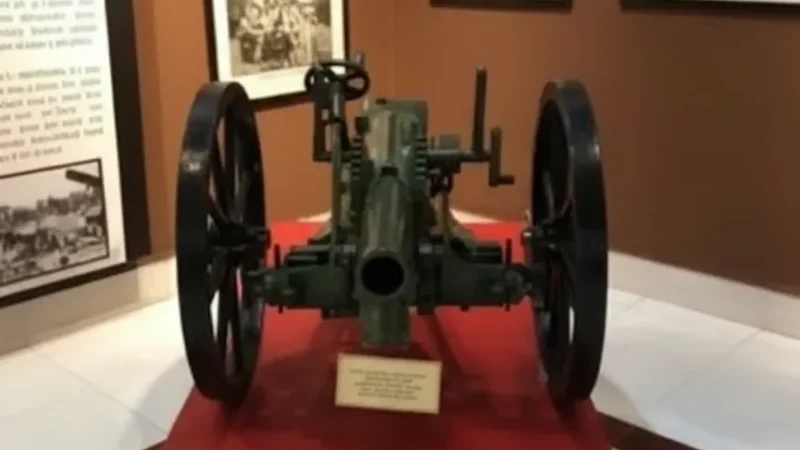 Cannon Display(1)