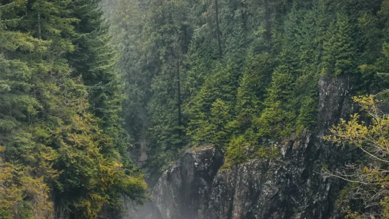 Capilano River Canyon – Scenic river views(5)