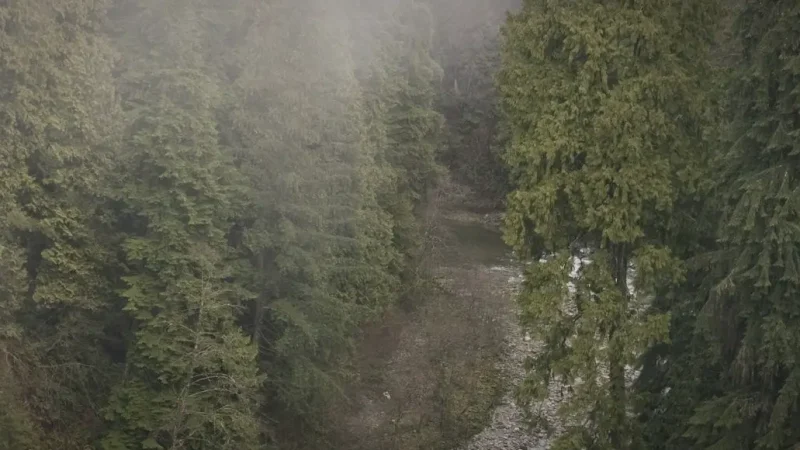 Capilano River Canyon – Scenic river views(7)