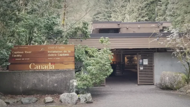 Capilano River Hatchery – Educational nature site(3)