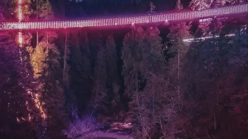 Capilano Suspension Bridge Canyon Lights – Seasonal lights(7)