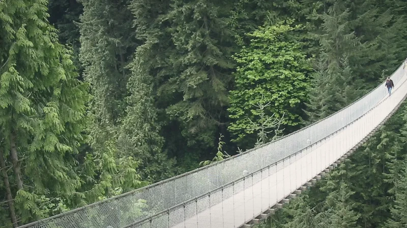 Capilano Suspension Bridge Park(4)