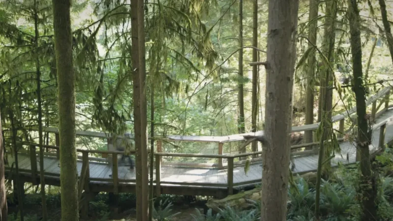 Capilano Suspension Bridge – Famous hanging bridge(2)