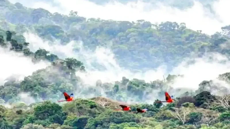 Carara_National_Park3