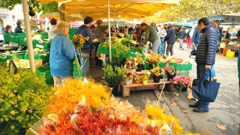 Carouge Market(2)