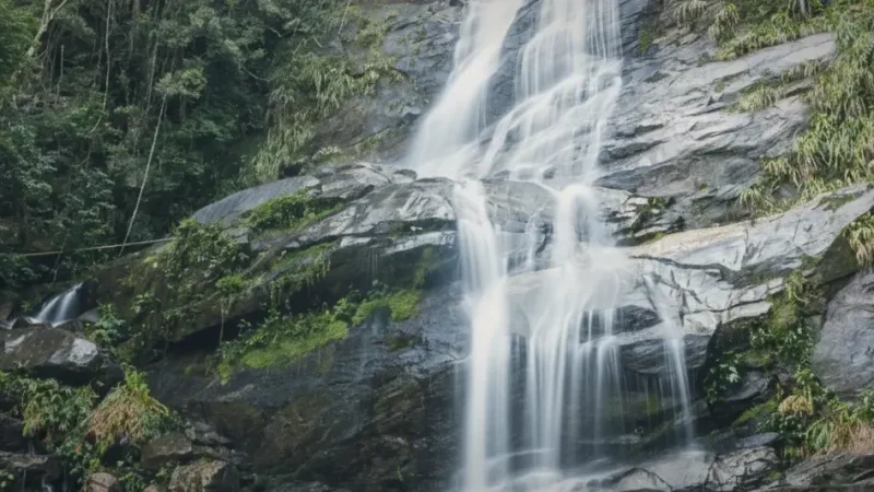 Cascatinha Taunay Waterfall – Tall forest waterfall(5)