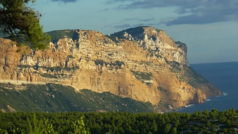 Cassis(4)