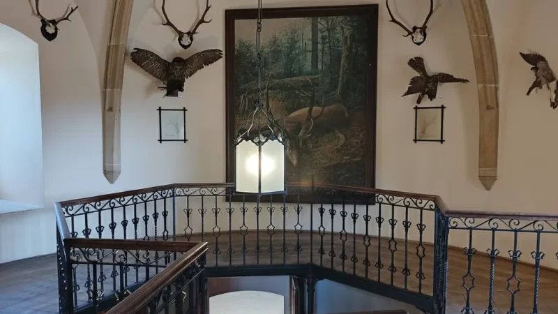 Castle Towers – Panoramic Forest Views(3)