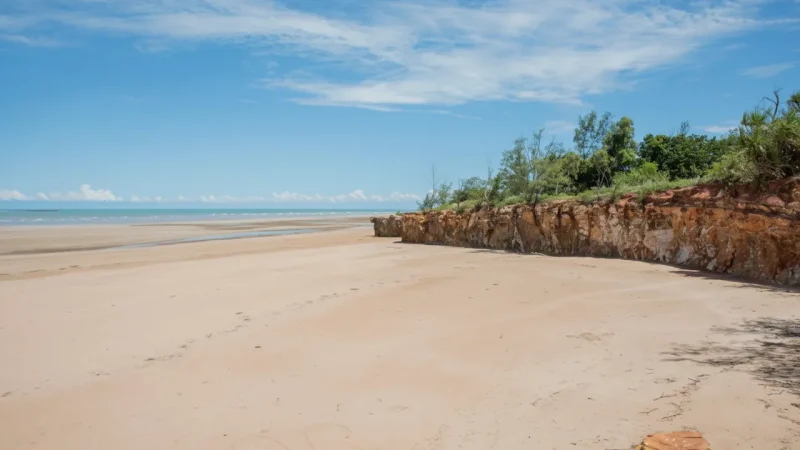 Casuarina Coastal Reserve – Beach & bushland walks(3)