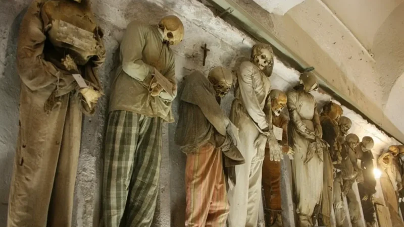 Catacombs of the Capuchins(3)