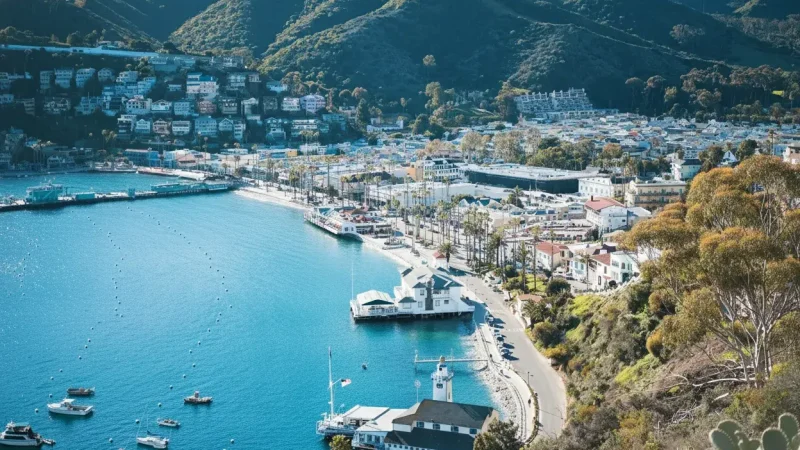 Catalina Islands(1) (1)