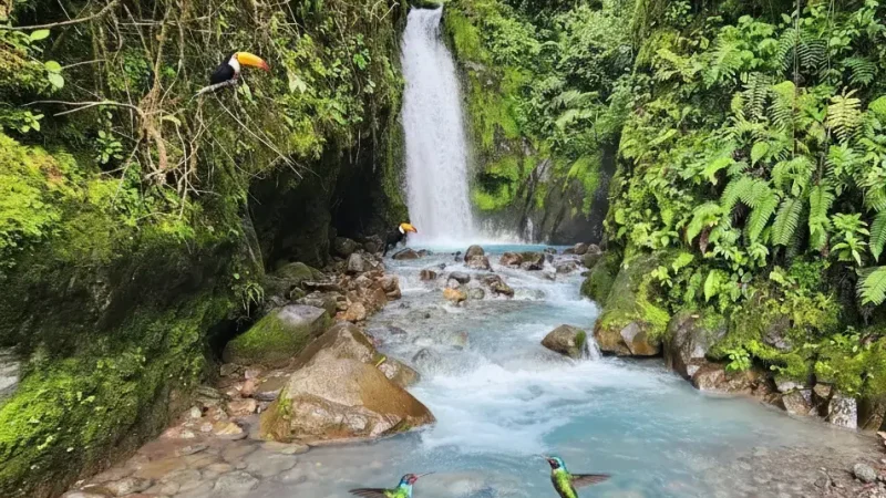 Catarata del Toro 04
