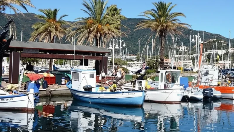 Cavalaire-sur-Mer – Seaside town with sandy shore(5)