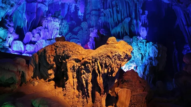 Cave Entrance Garden(5)