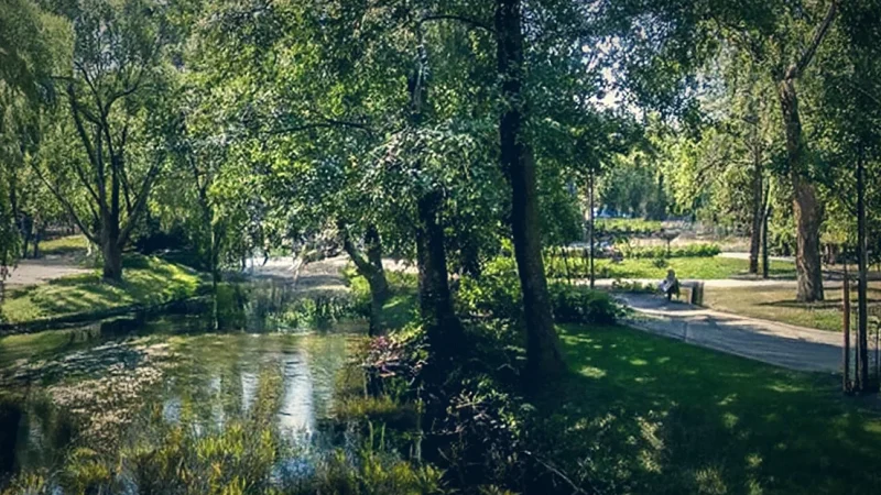 Central Park(1)