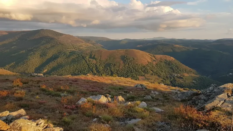Cévennes National Park(4)