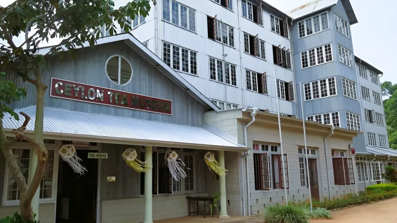 Ceylon Tea Museum 06