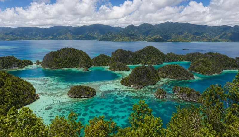 Papua Region Indonesia