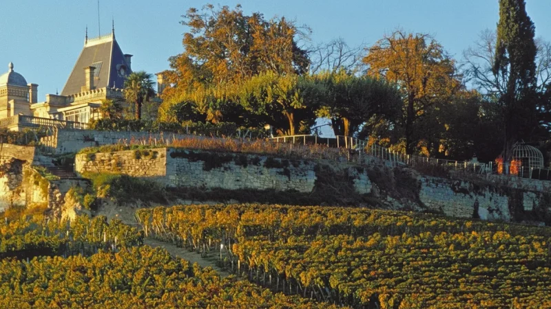 Château Ausone(4)
