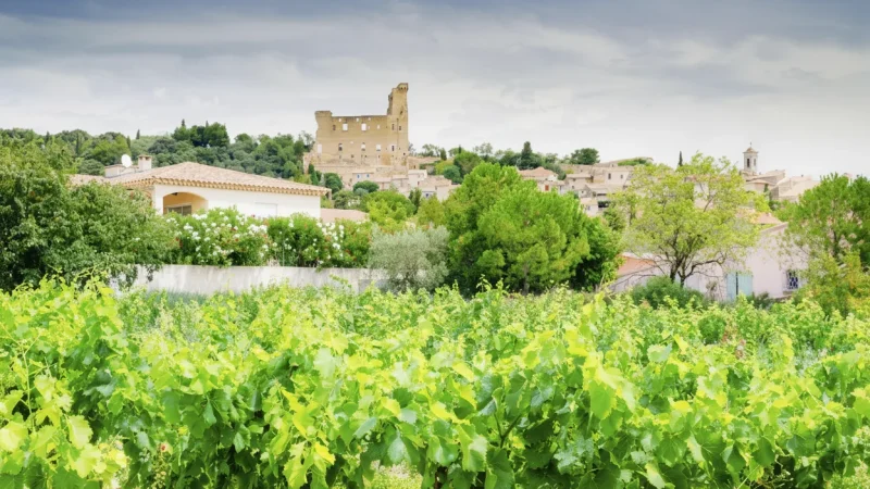 Châteauneuf-du-Pape – Famous Wine Region(1)