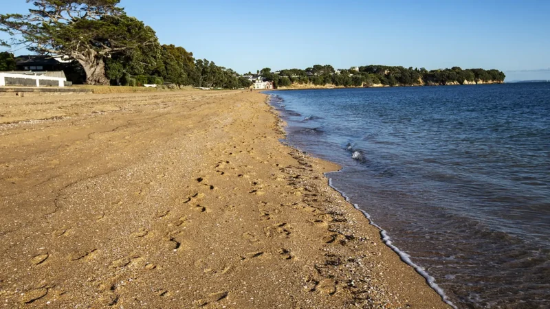 Cheltenham_Beach_тАУ_Calm_beach_with_city_views_01