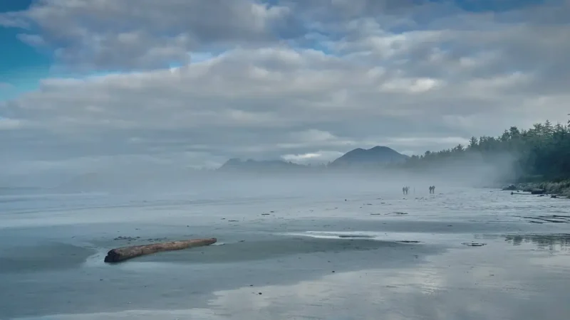 Chesterman Beach – Scenic ocean views(2)