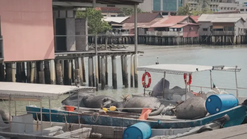 Chew Jetty(3)