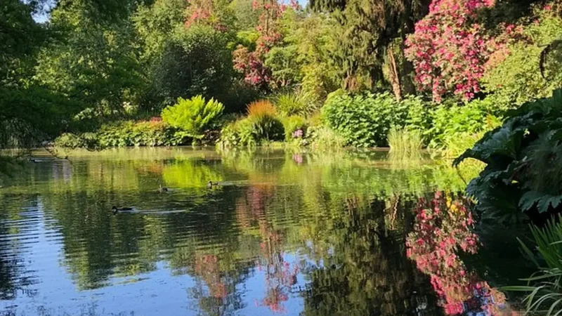 Christchurch_Botanic_Gardens_тАУ_Beautiful_themed_gardens_04
