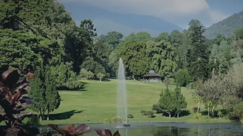 Cibodas Botanical Garden(2)