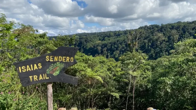 Cinchona Waterfall Viewpoint 05