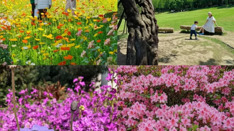 City Green Spaces(1)