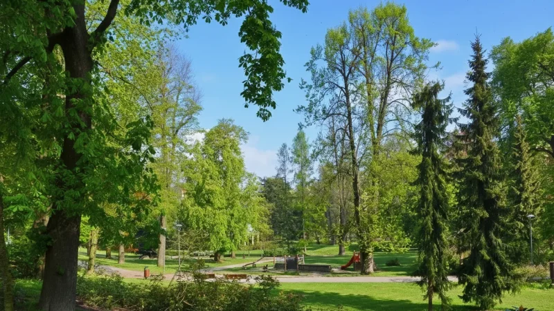 City Park – Green Relaxation Space(3)