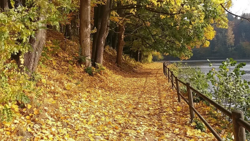 City Parks – Green Relaxation Spaces(2)