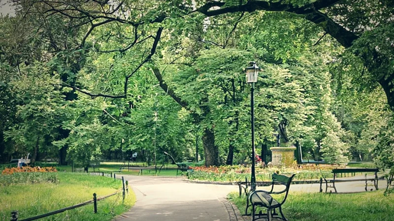 City Parks(1)