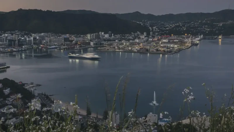 City Skyline Viewing Areas – Day & Night Views(2)