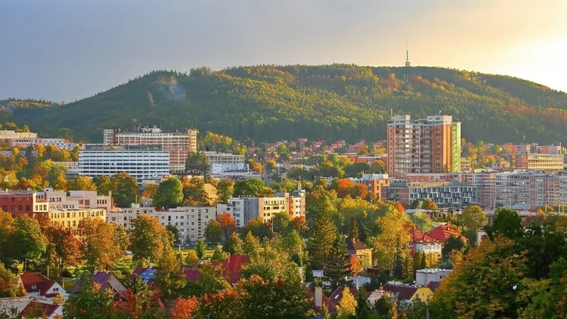 City Viewpoints – Hillside scenery(6)