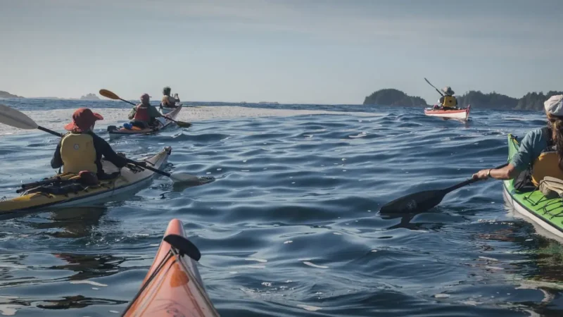 Clayoquot Sound – Wildlife & nature(3)