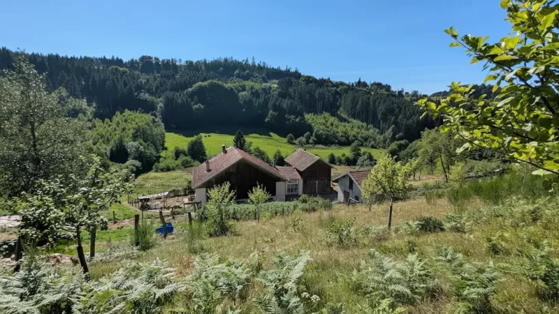 Cleurie Valley(4)