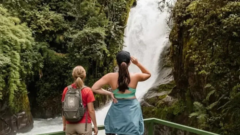 Cloudbridge Nature Reserve 02